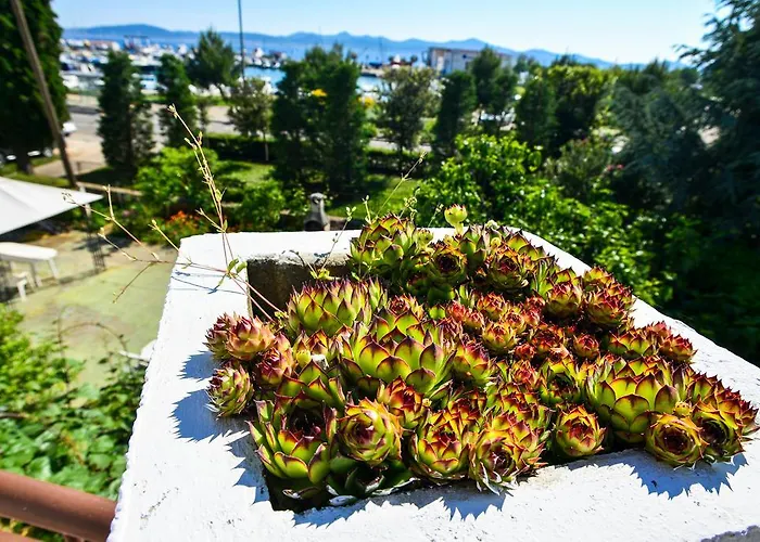 Апартаменты Benelux