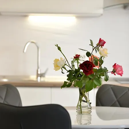 Benelux Apartament